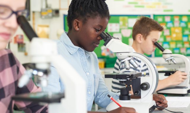 STEM at A Level: Biology