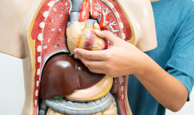 T Levels in STEM: What to know