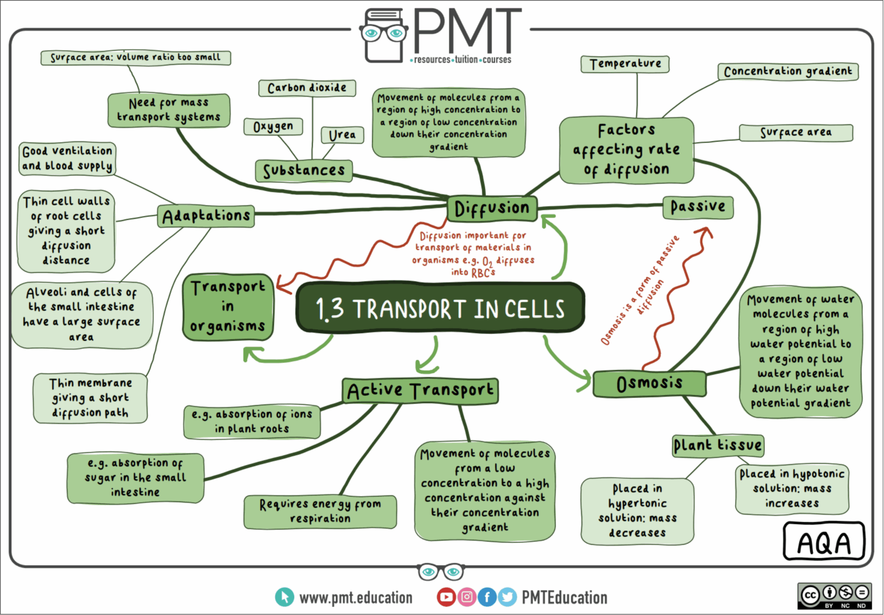 A screenshot of a GCSE Biology mindmap showing Active Transport taken from the Physics & Maths Tutor website.