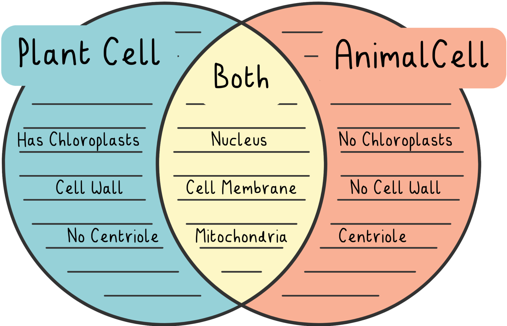 A venn diagram used for dual coding the structure of plant and animal cells.