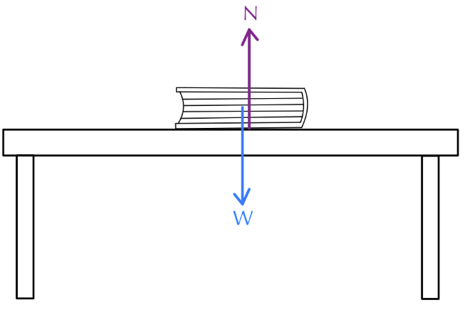 Book resting on a table with upward normal reaction force (N) and downward weight force (W) shown as equal and opposite arrows.